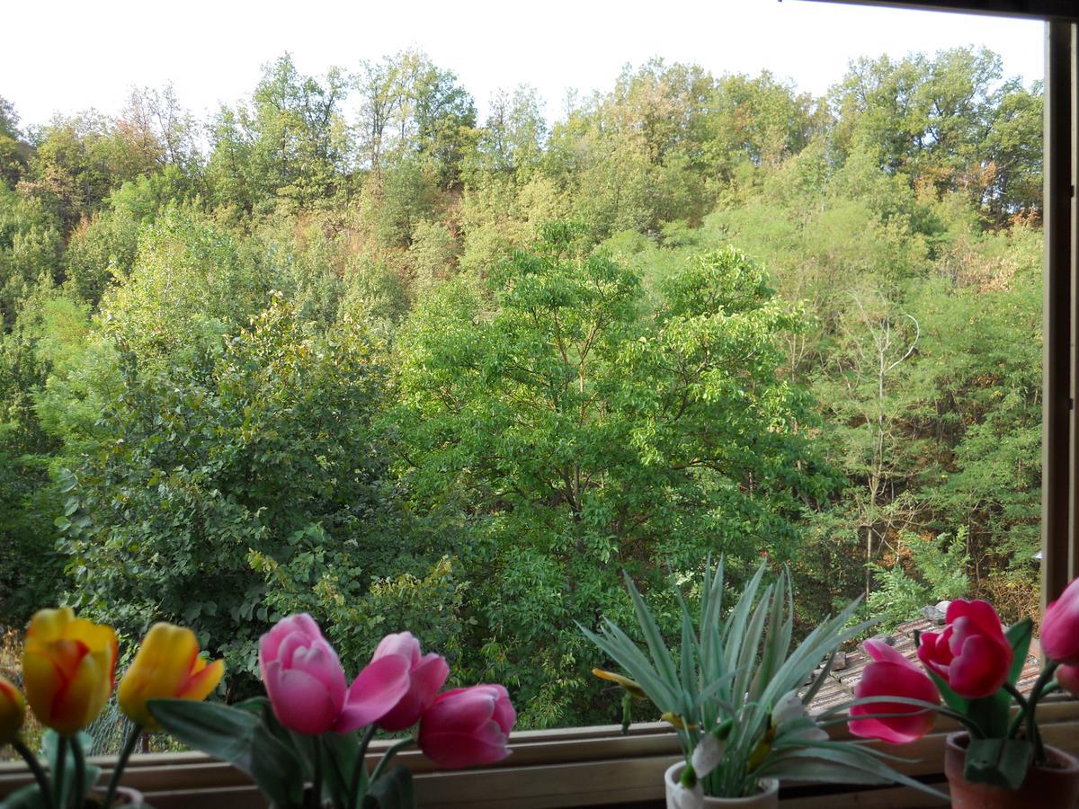 Casa Clotilde Bed & Breakfast Stazzano Luaran gambar
